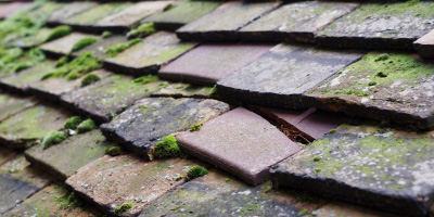 Uppingham roof repair costs